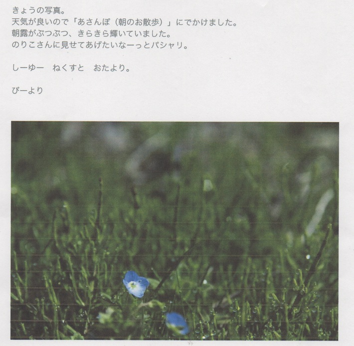 スキャン740 1.jpeg